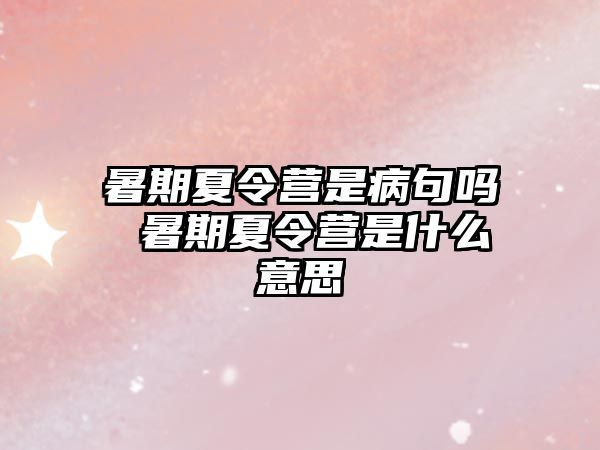 暑期夏令營是病句嗎 暑期夏令營是什么意思