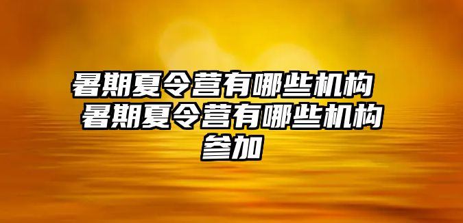 暑期夏令營有哪些機構 暑期夏令營有哪些機構參加