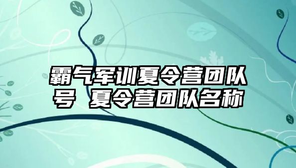 霸氣軍訓夏令營團隊號 夏令營團隊名稱