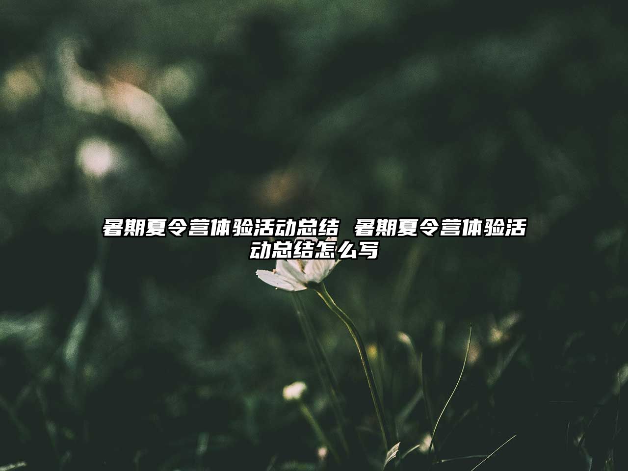 暑期夏令營體驗活動總結(jié) 暑期夏令營體驗活動總結(jié)怎么寫