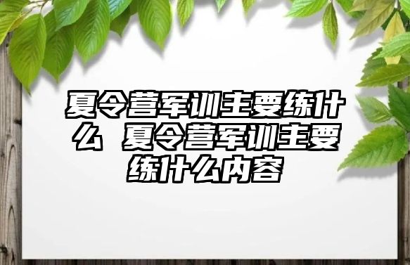 夏令營軍訓主要練什么 夏令營軍訓主要練什么內容