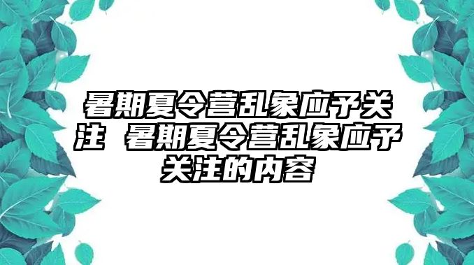 暑期夏令營亂象應予關注 暑期夏令營亂象應予關注的內容