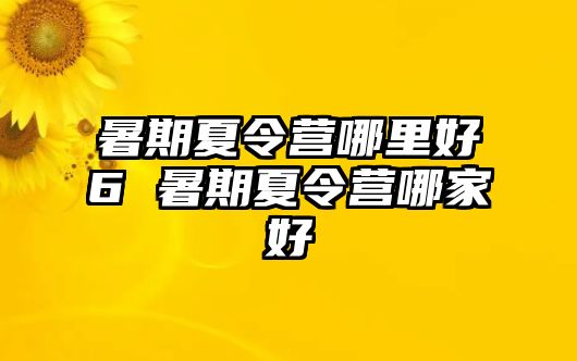 暑期夏令營哪里好6 暑期夏令營哪家好