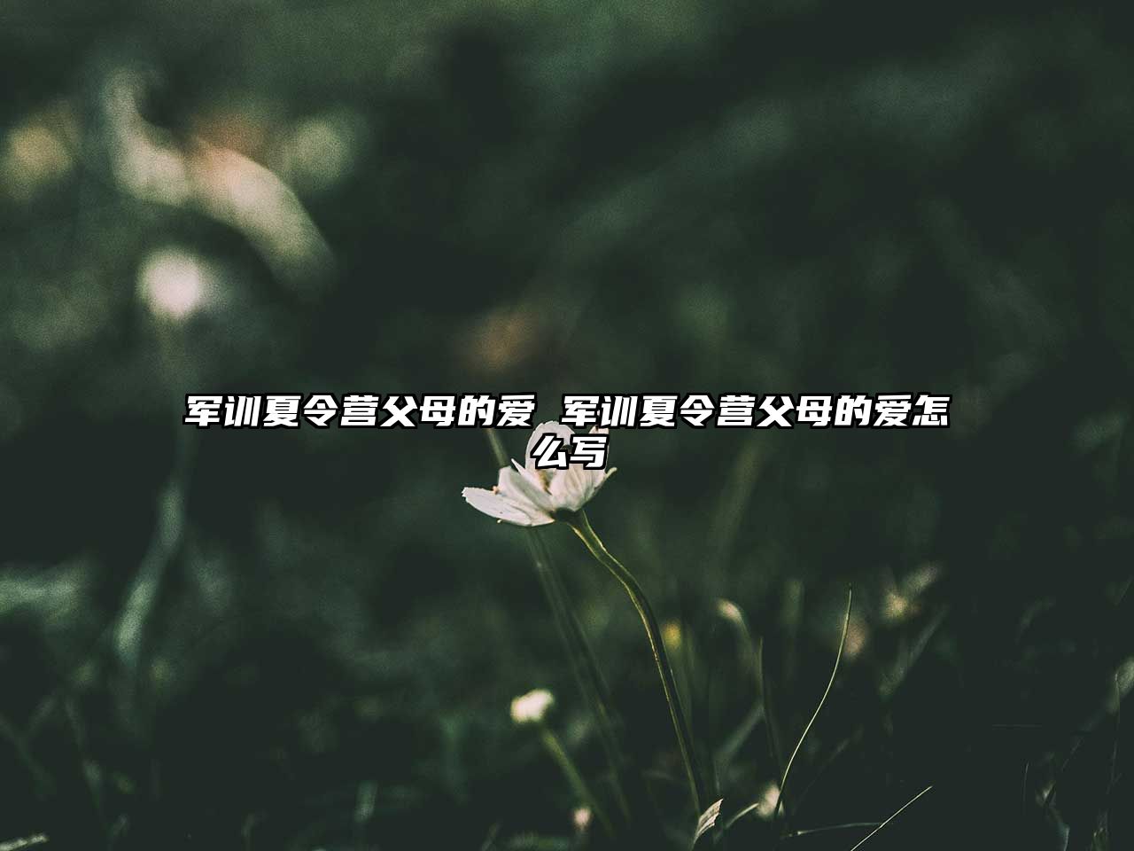 軍訓夏令營父母的愛 軍訓夏令營父母的愛怎么寫