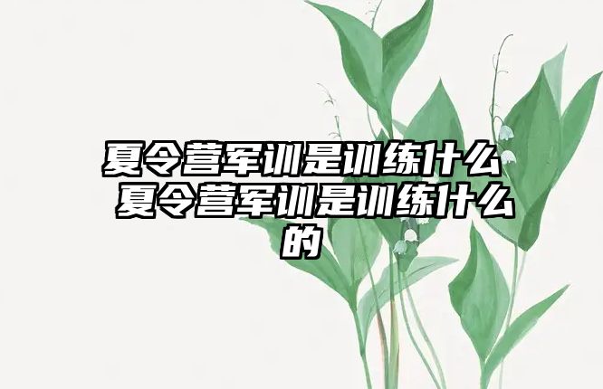 夏令營軍訓是訓練什么 夏令營軍訓是訓練什么的