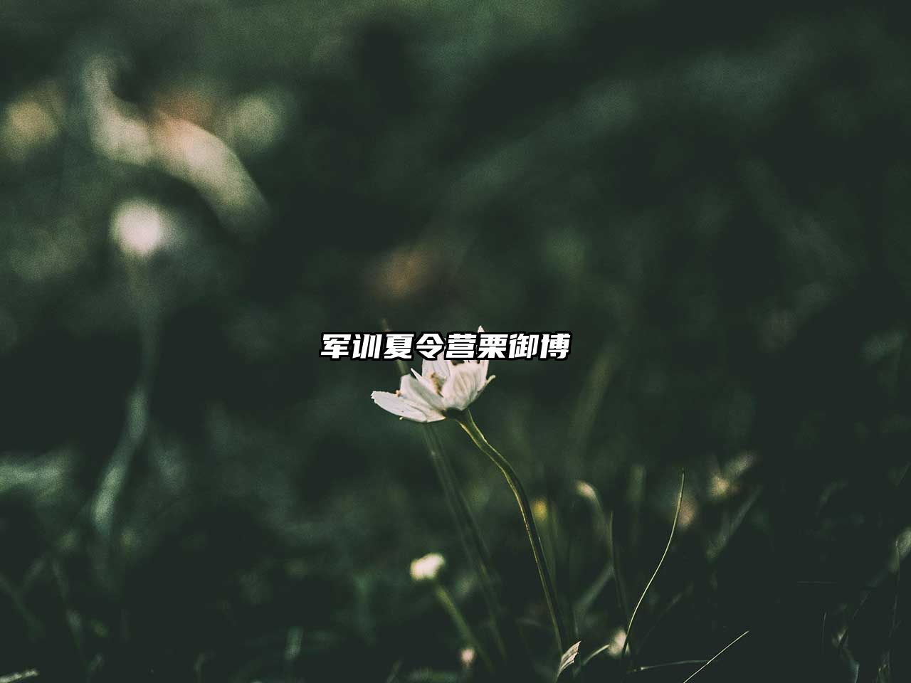 軍訓夏令營栗御博 