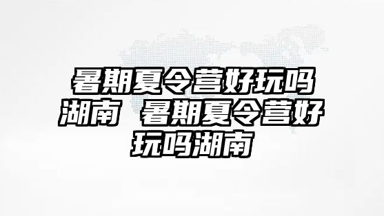 暑期夏令營好玩嗎湖南 暑期夏令營好玩嗎湖南
