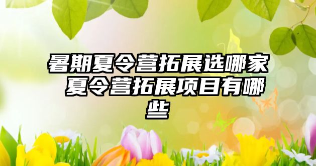 暑期夏令營(yíng)拓展選哪家 夏令營(yíng)拓展項(xiàng)目有哪些