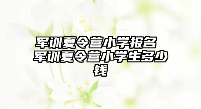 軍訓(xùn)夏令營小學(xué)報名 軍訓(xùn)夏令營小學(xué)生多少錢
