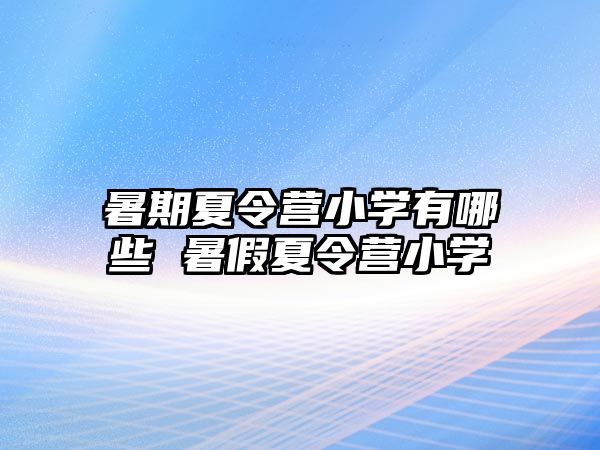 暑期夏令營小學有哪些 暑假夏令營小學