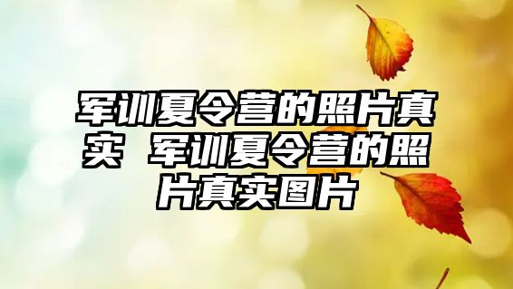 軍訓(xùn)夏令營(yíng)的照片真實(shí) 軍訓(xùn)夏令營(yíng)的照片真實(shí)圖片