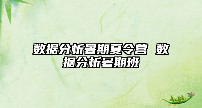 數(shù)據(jù)分析暑期夏令營(yíng) 數(shù)據(jù)分析暑期班